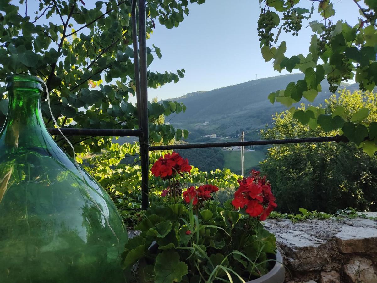 Ferentillo 露恩西尼旅馆旅馆 外观 照片